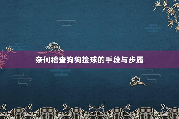 奈何稽查狗狗捡球的手段与步履