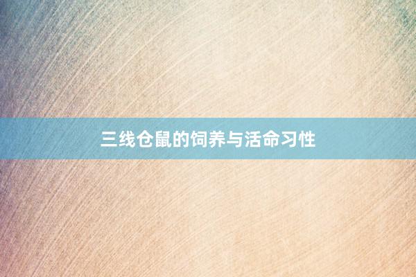 三线仓鼠的饲养与活命习性