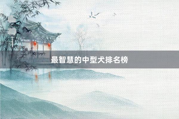 最智慧的中型犬排名榜