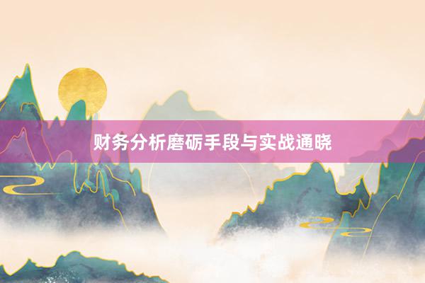 财务分析磨砺手段与实战通晓